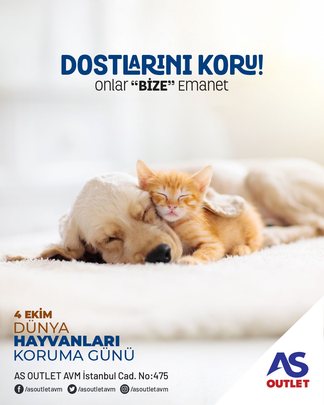 4 EKİM HAYVANLARI KORUMA GÜNÜ
